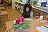 DSC_0050.JPG
