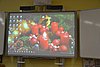 DSC_0069.JPG