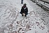 DSC_0029.JPG