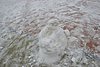 DSC_0032.JPG